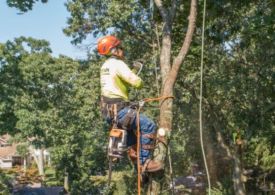Located in Freehold NJ, Kristian Tree Service is one of the fastest growing landscape and tree removal companies in Central NJ.