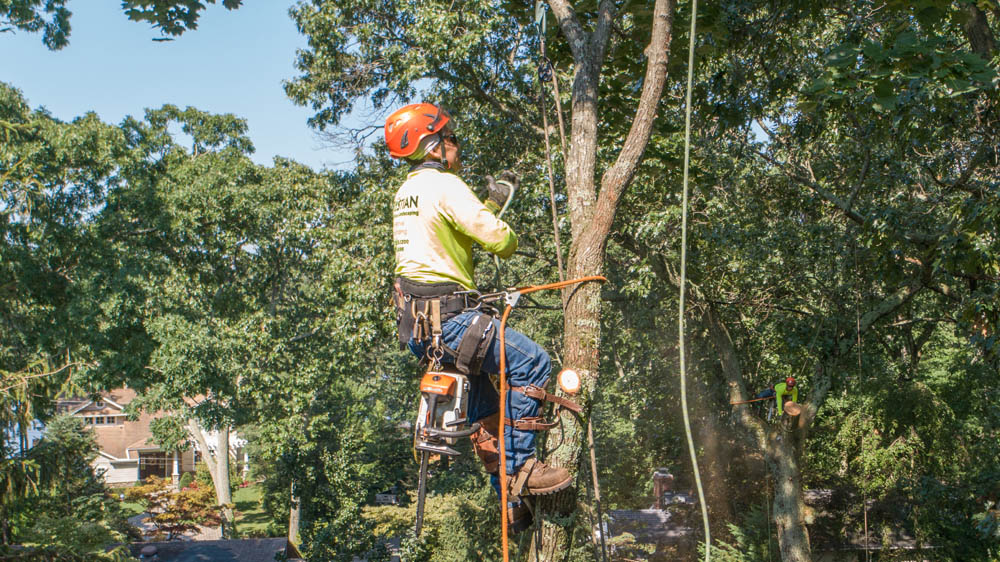Located in Freehold NJ, Kristian Tree Service is one of the fastest growing landscape and tree removal companies in Central NJ.