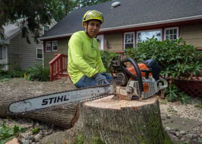 Kristian Tree Service is a family owned and operated business in Freehold, NJ specializing in tree removal, tree trimming, and stump grinding