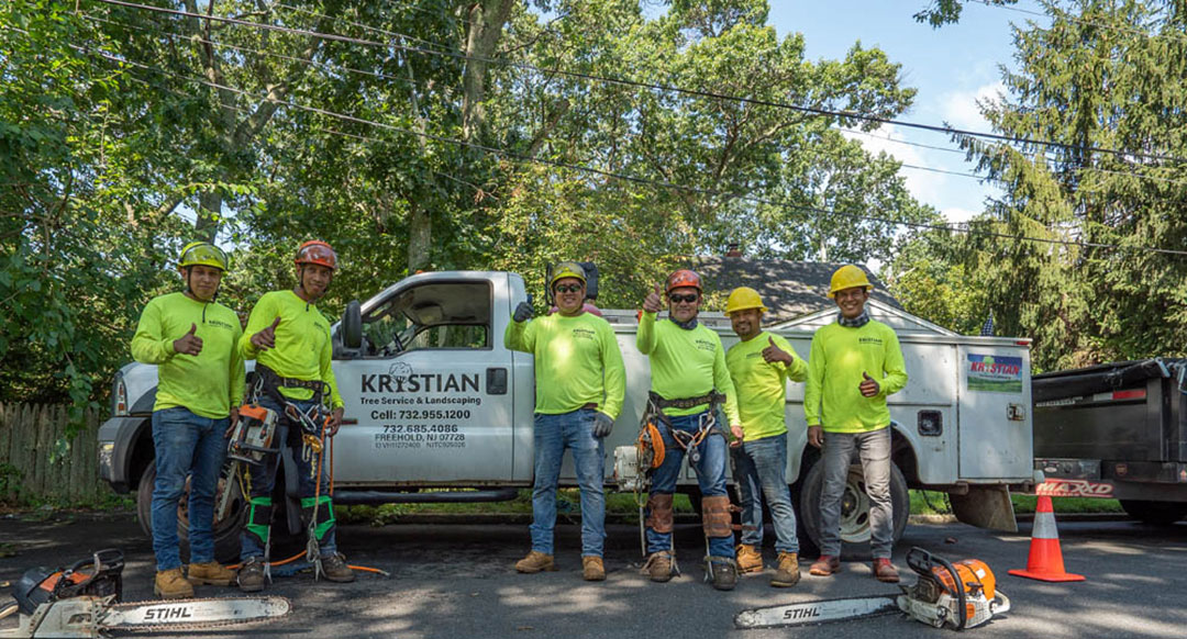 Kristian Tree Service provides professional tree removal, tree trimming, and stump grinding services in Freehold, NJ