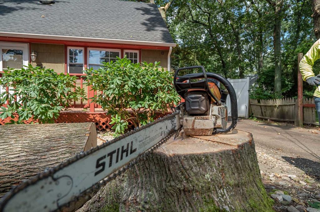 Kristian Tree Services offers professional tree removal services in monmouth county nj
