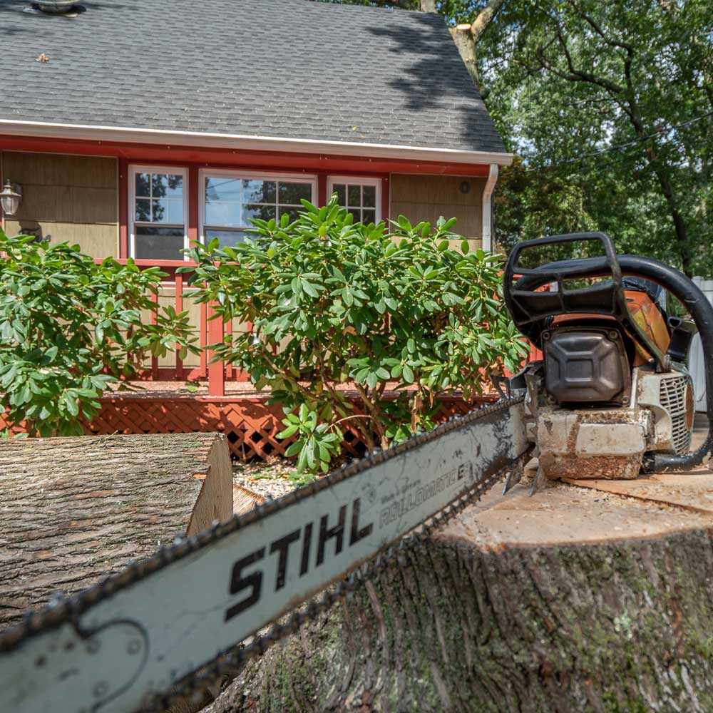 Kristian Tree Service specializes in stump grinding