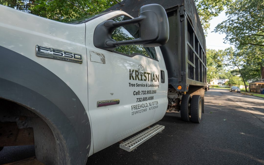 For more than 20 years, property owners have relied upon Kristian Tree Service in Freehold, NJ and the surrounding areas for professional tree removal services.