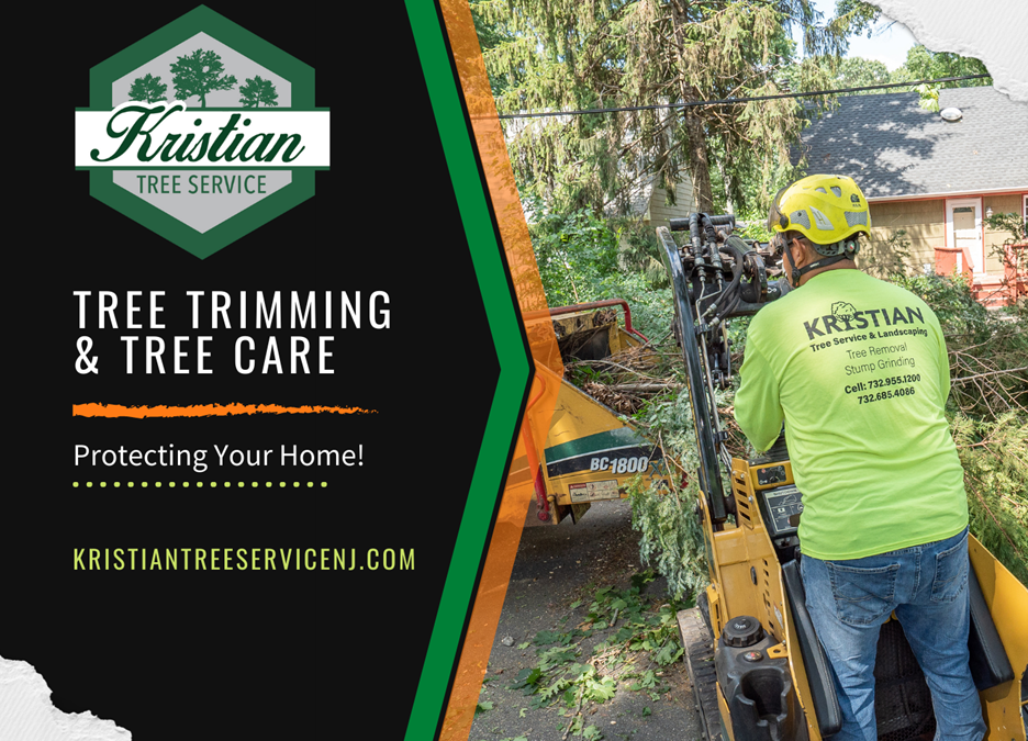 Using best practices when it comes to tree trimming and tree care keeps everyone safe and gives you the best possible curb appeal.