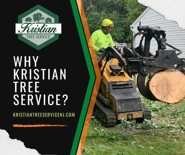 Kristian Tree Service is a professional tree removal company in Freehold NJ
