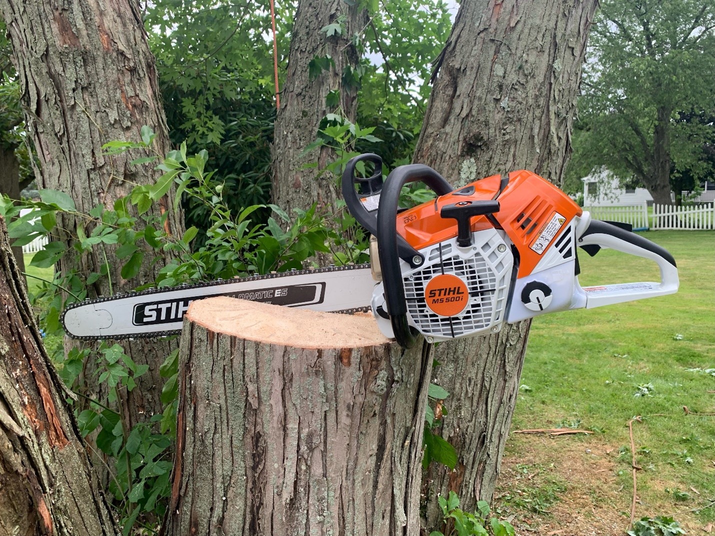 expert tree cutting services in Freehold NJ