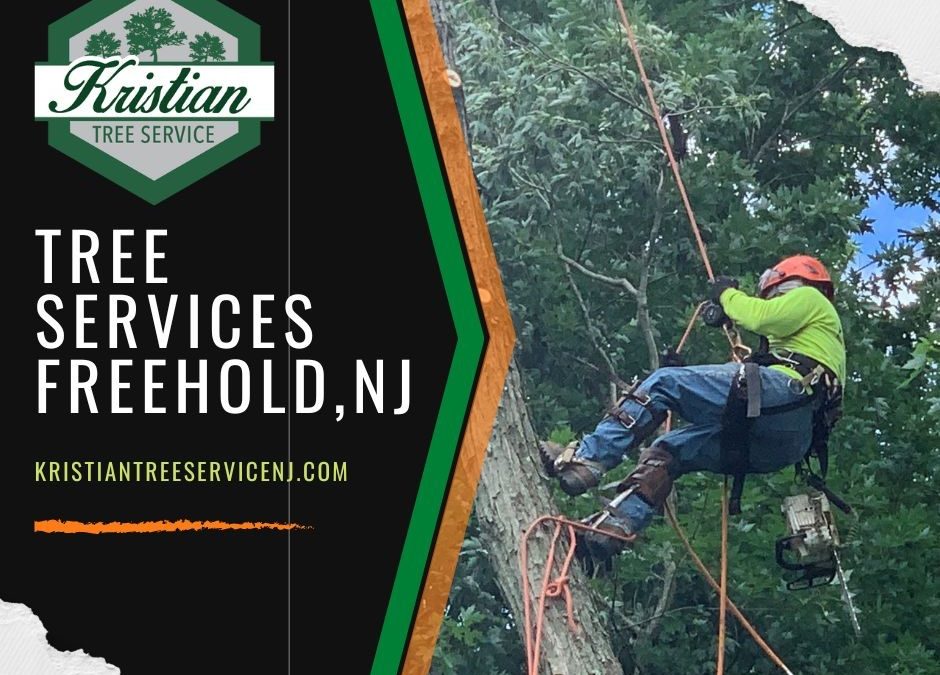 Kristian Tree Service tree removal in Freehold NJ