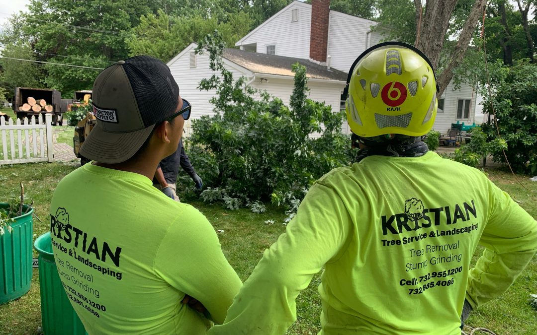 free tree inspections freehold nj tree removal services Kristian Tree Service