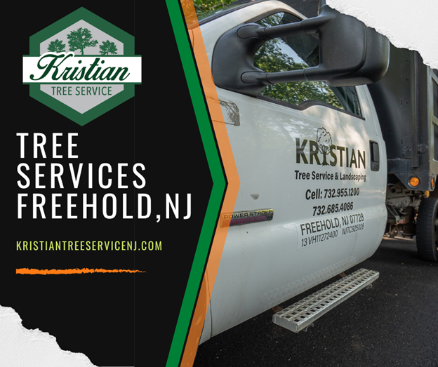 At Kristian Tree Service, we are known for affordable tree removal services in Central New Jersey