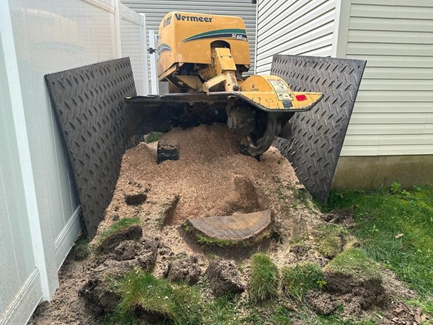 Stump Removal: Transforming Your Landscaping With Kristian Tree Service