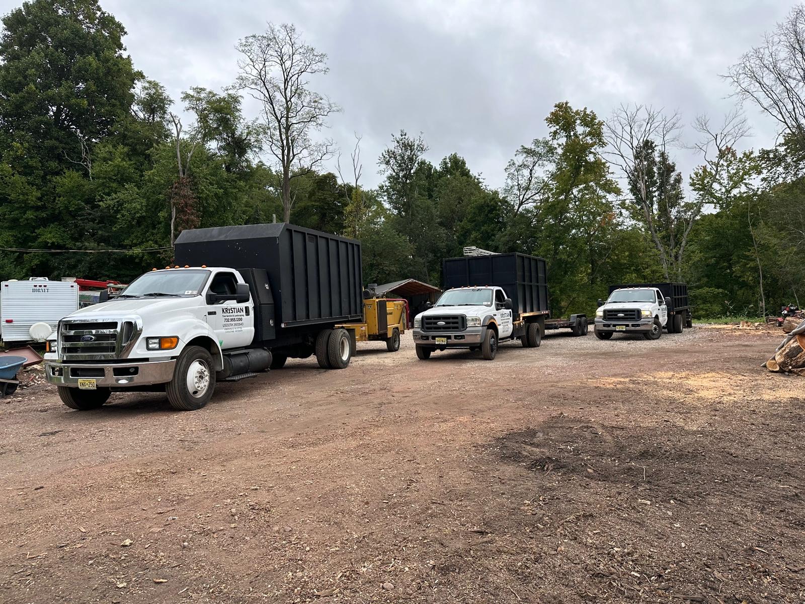 Tree Services
