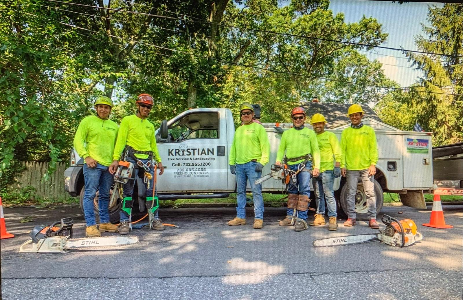 Professional tree service NJ team at work