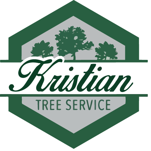 Tree Service and Landscaping Logo