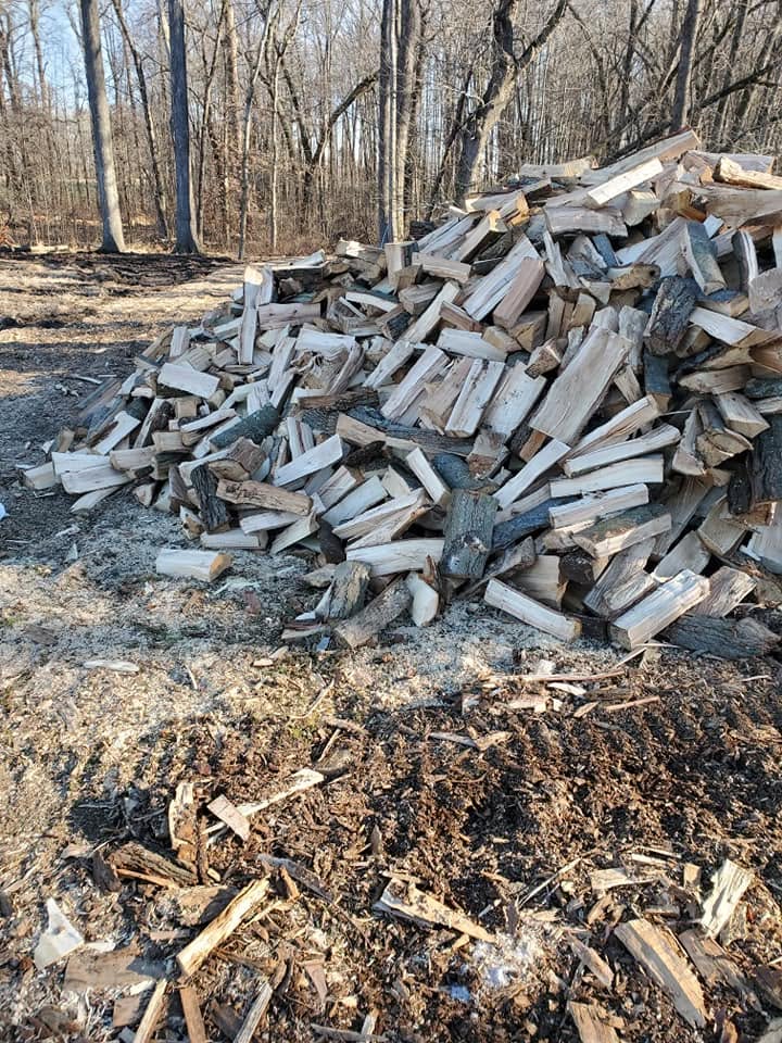 Outdoor tree care project in Jackson NJ
