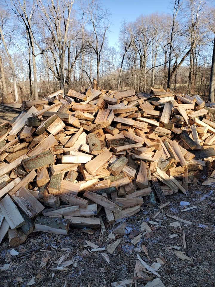Outdoor tree care project in Colts Neck NJ