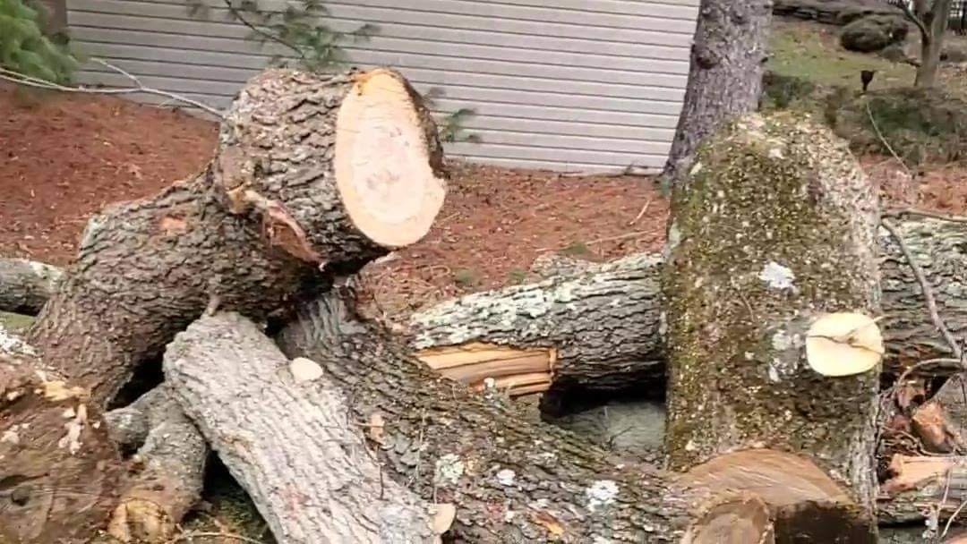 Property cleanup and outdoor service in Manalapan NJ