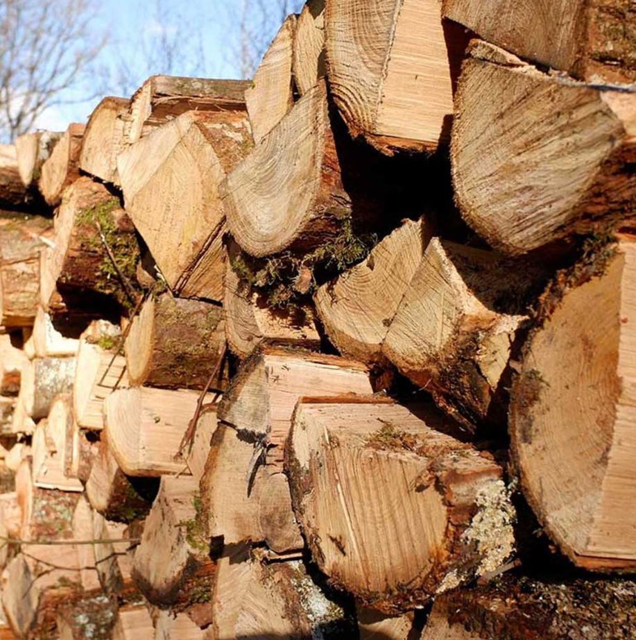 Firewood project New Jersey