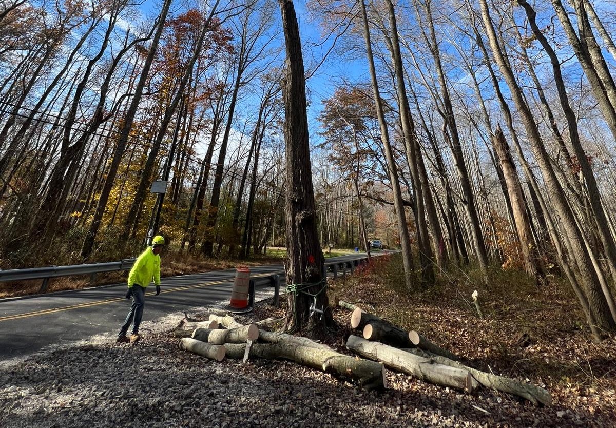 Firewood service New Jersey