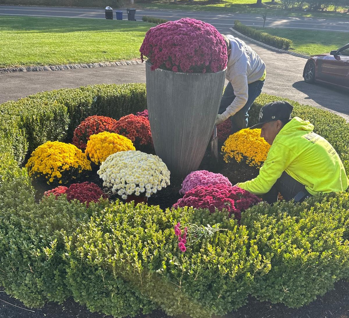 Landscaping project