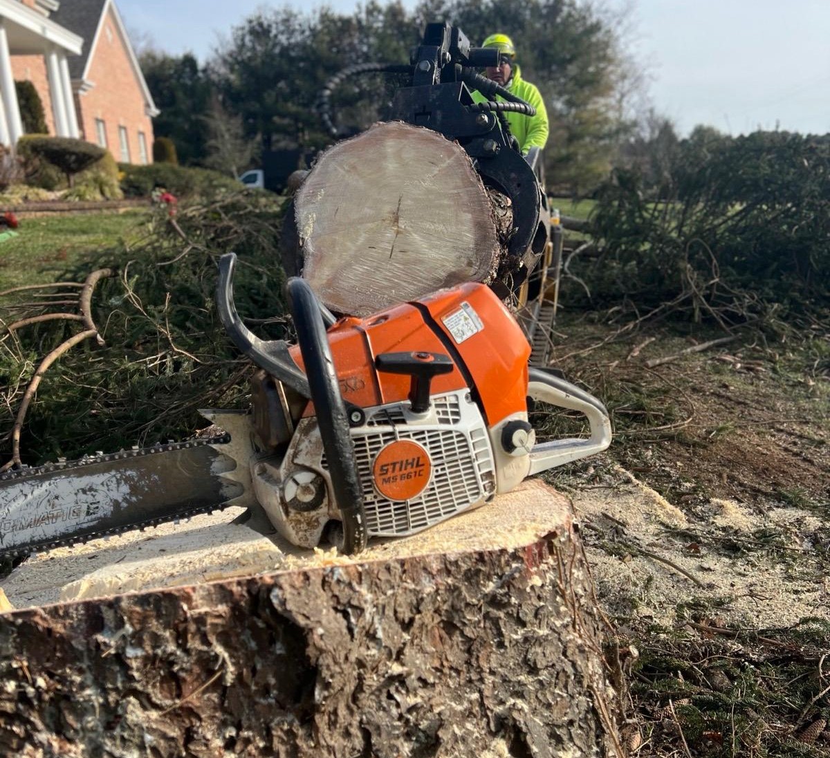 Tree Services by Kristian Tree Service and Landscaping