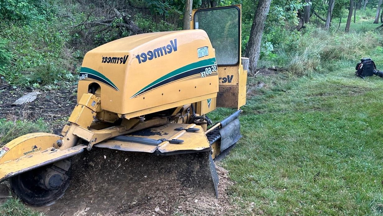 Kristian Tree Service stump grinding project