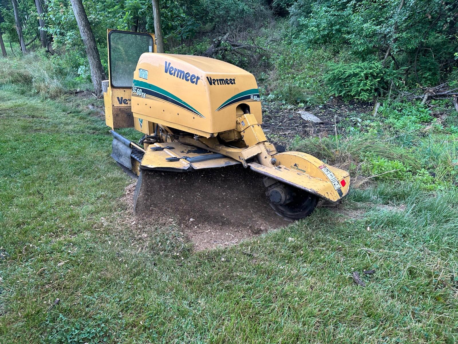 Stump grinding project