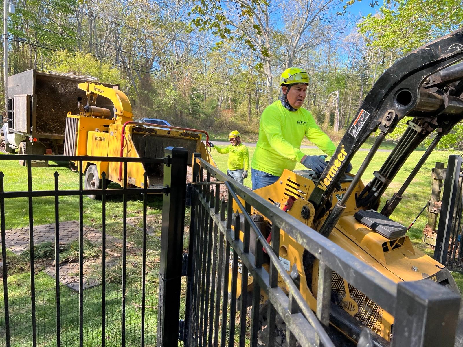 Tree service gallery New Jersey stump project