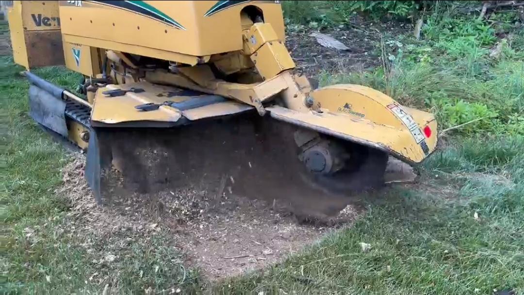 Property cleanup and outdoor service in Howell NJ