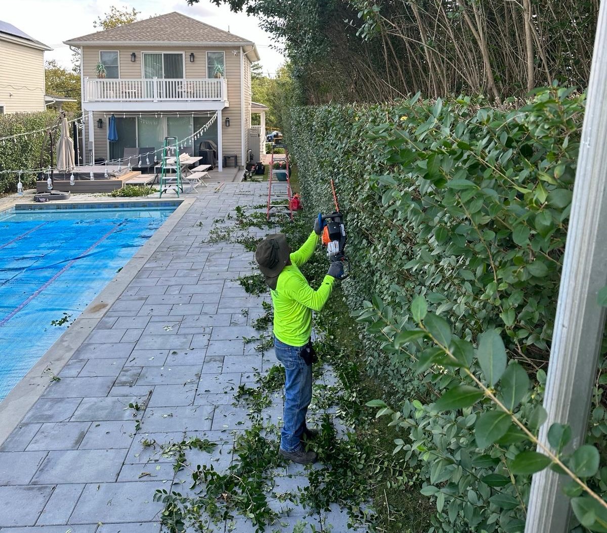 Tree trimming service