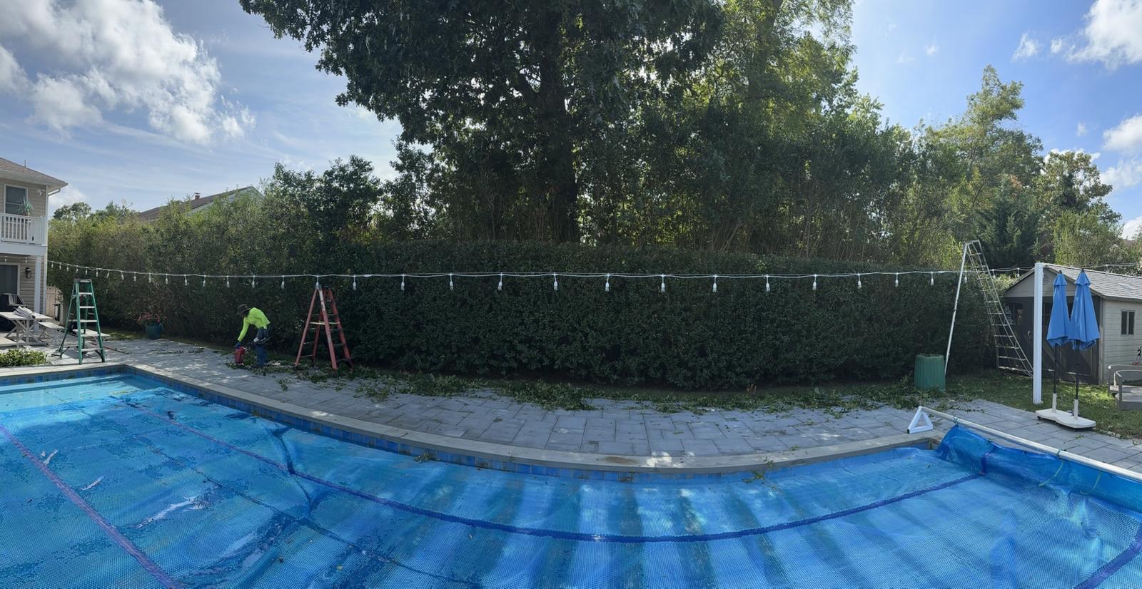 Professional tree trimming work New Jersey