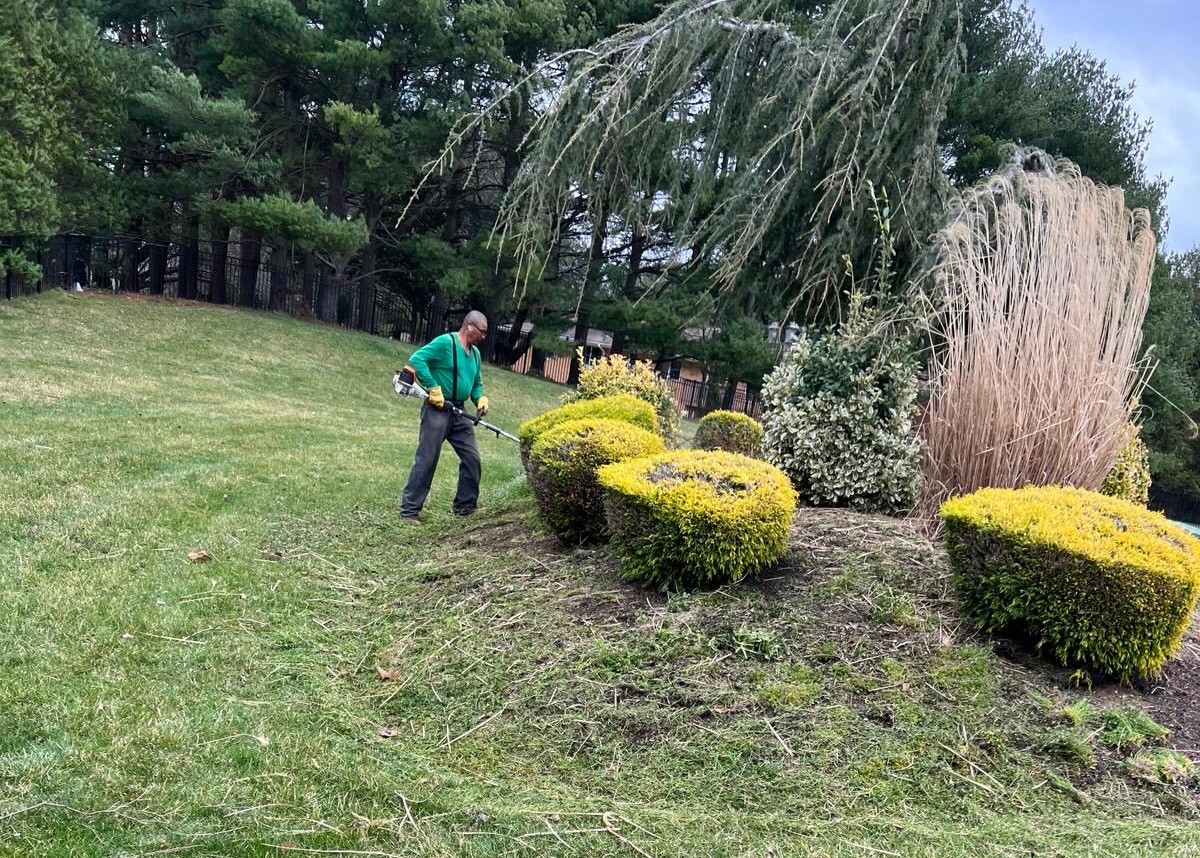 Tree Trimming by Kristian Tree Service and Landscaping