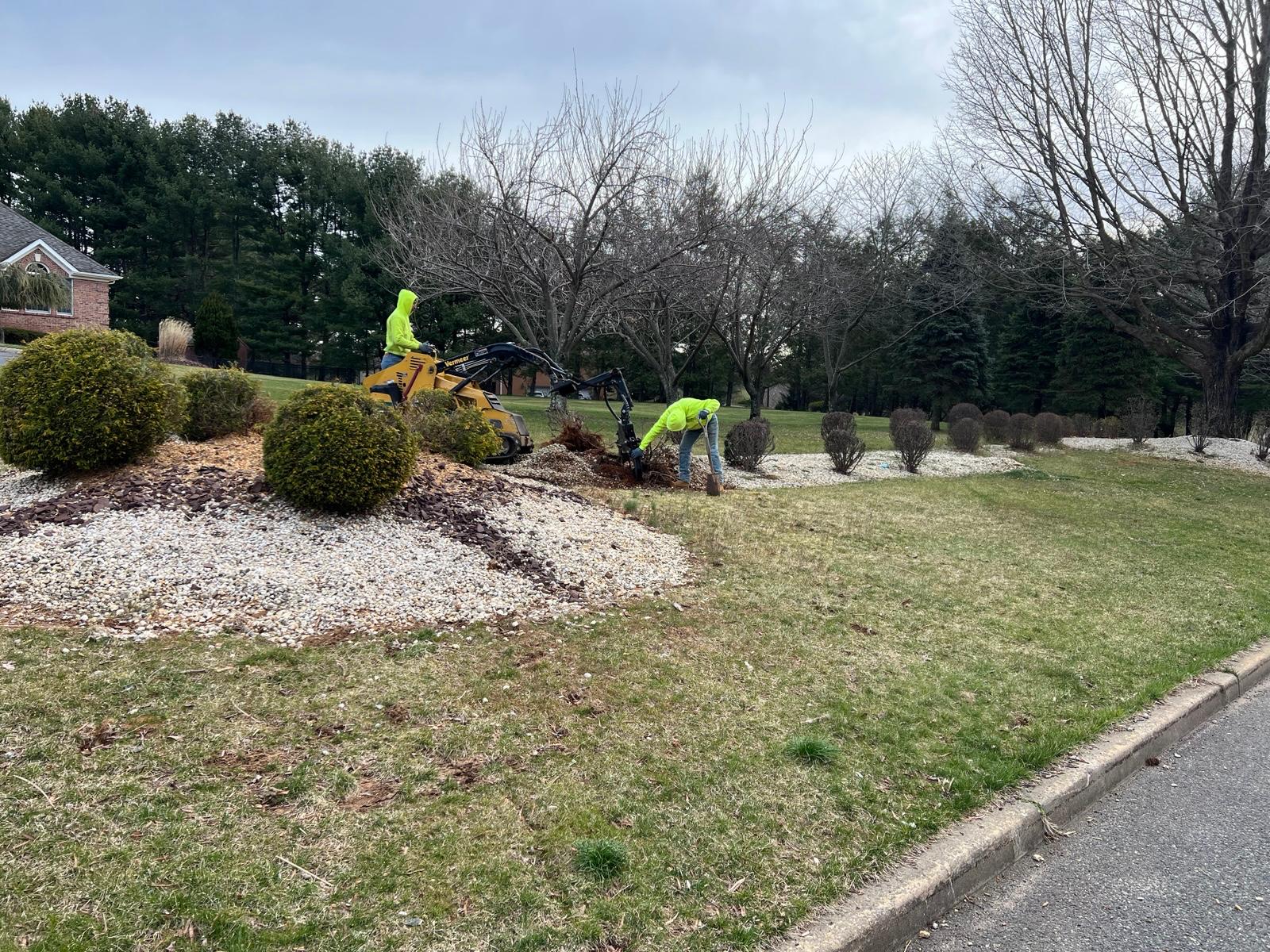 Residential tree trimming work New Jersey